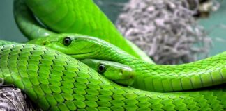 Jaki Woom dla 7 latka?