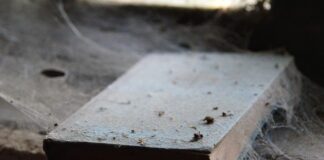 Po co układać puzzle?