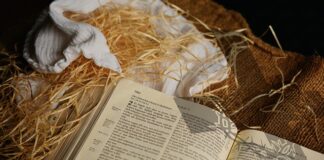 Jak długo dziecko nosi pieluchy 1?